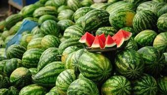 每日大赛吃瓜黑料每日大,揭秘吃瓜黑料，追踪热点事件