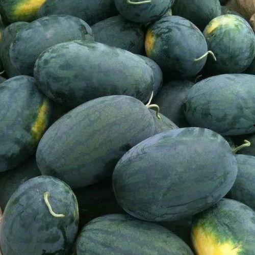 小野黑料吃瓜,吃瓜群众如何解读娱乐圈风云