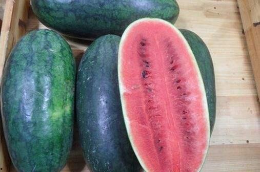 黑吃料吃瓜入口2025